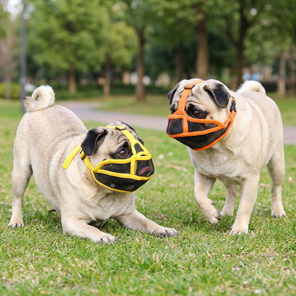Deux Carlin en extérieur portant une muselière pour chien manchon en maille  jaune et orange