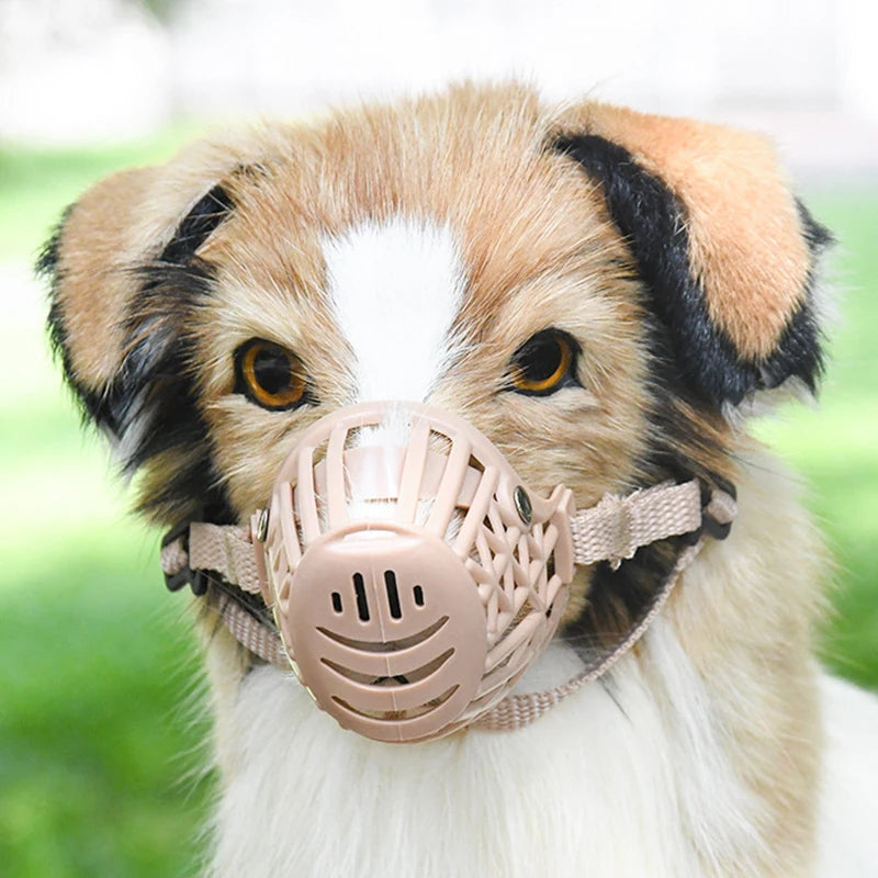 Muselière | Masque buccal en plastique