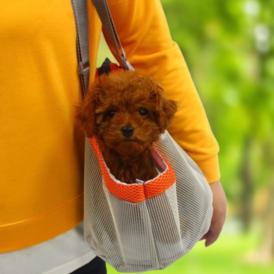sac transport pour chien pliable en maille orange doodle