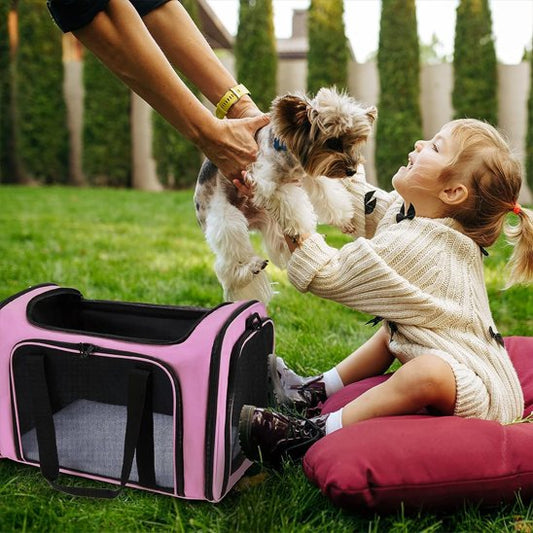 Sac de transport pour chien rose a terre