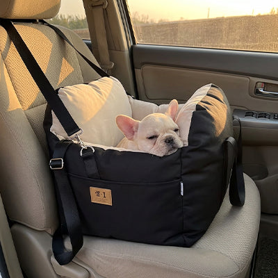 SIEGE AUTO POUR CHIEN | Ceinture de sécurité