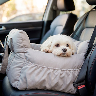 SIEGE AUTO POUR CHIEN | Sangles sécurisées